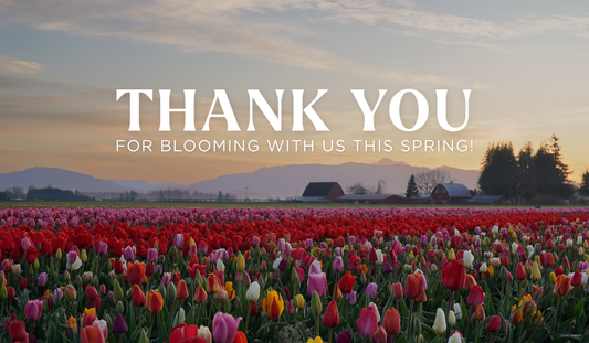 Thank You for Blooming With Us This Spring 🌷