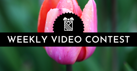 Weekly Video Contest