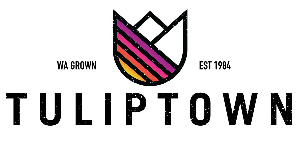 Visit Tulip Town during the 2026 Skagit Valley Tulip Festival