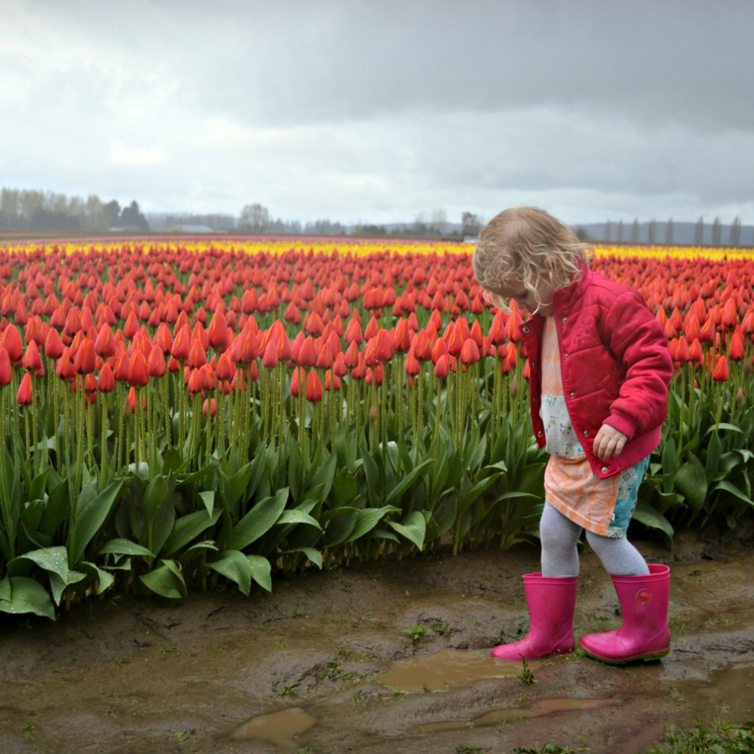 Young girl walking by row of tulips in pink rubber boots